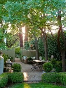 Shade trees in a beautiful patio space. Source: Ladolcevitacalifornia.com