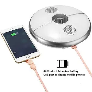 Kingso Patio Umbrella Light and Charger