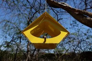 BEEKMAN Bird Feeder