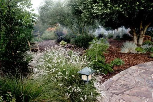 California Winter Garden. Source: GardenDesign Magazine