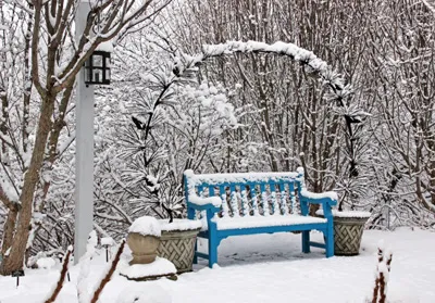 Cheerful Garden Bench in Winter Snow. Source: University of Wisconsin Master Gardener Program