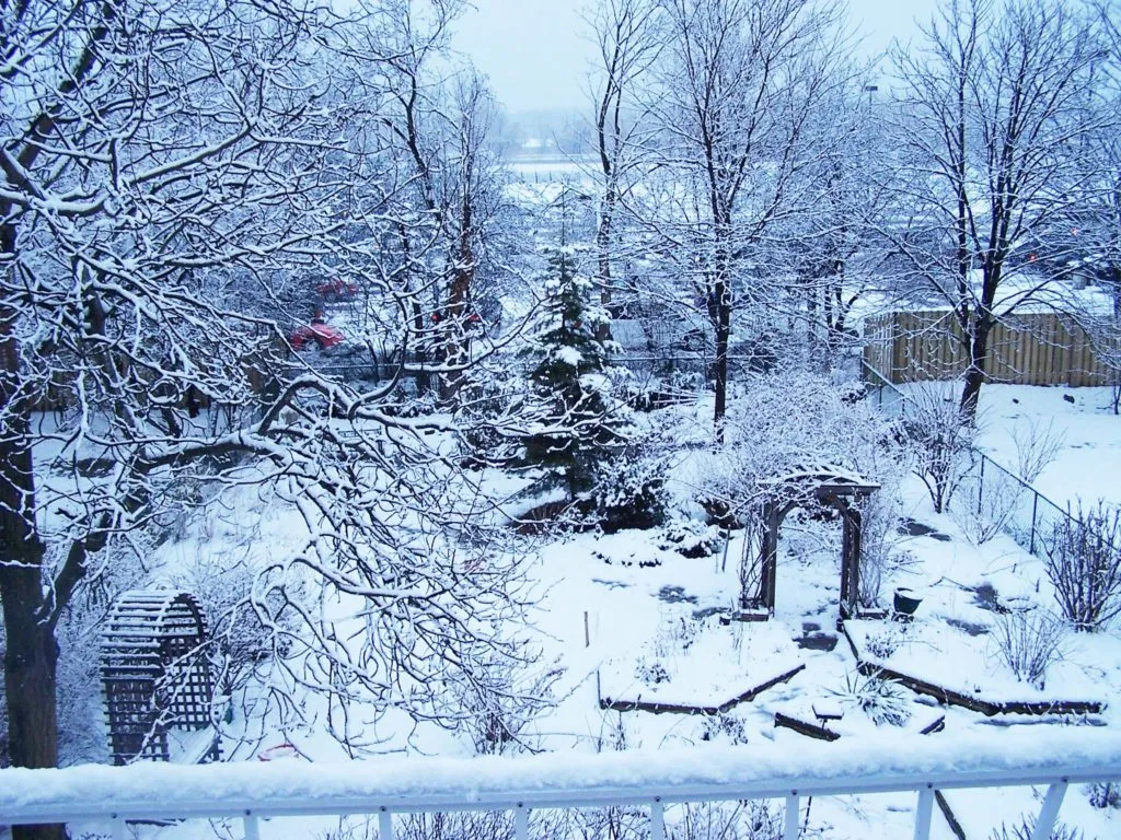Garden Under Snow. Source: California School of Garden Design