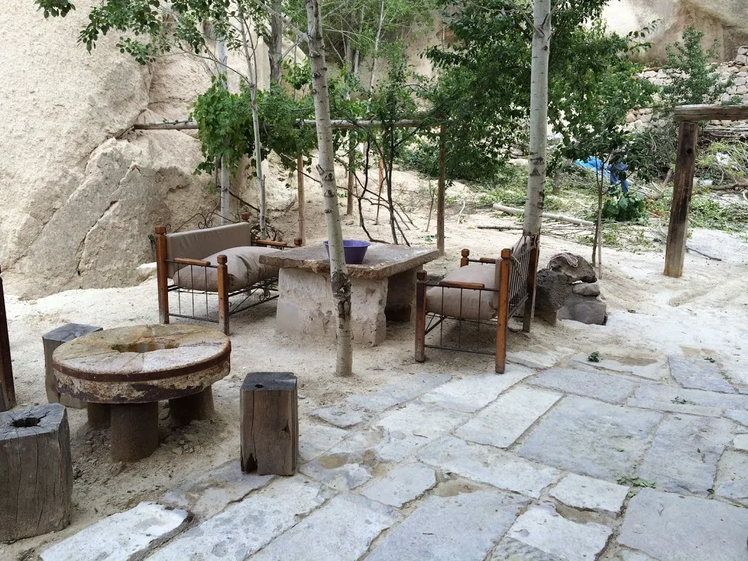 Grapevines growing around some seating