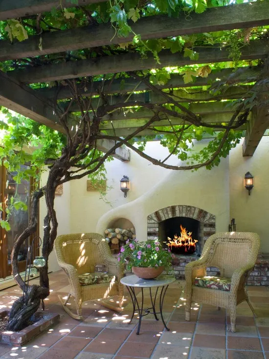 Patio Grapevine. Source: Imgur