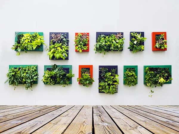 Picture Framed Vertical Garden Source: Dripworks