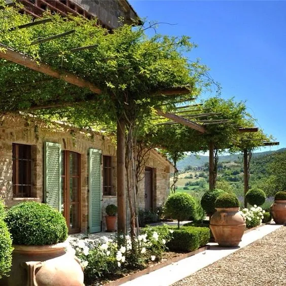 Rustic Pergola with Vines. Source: PebbleLane