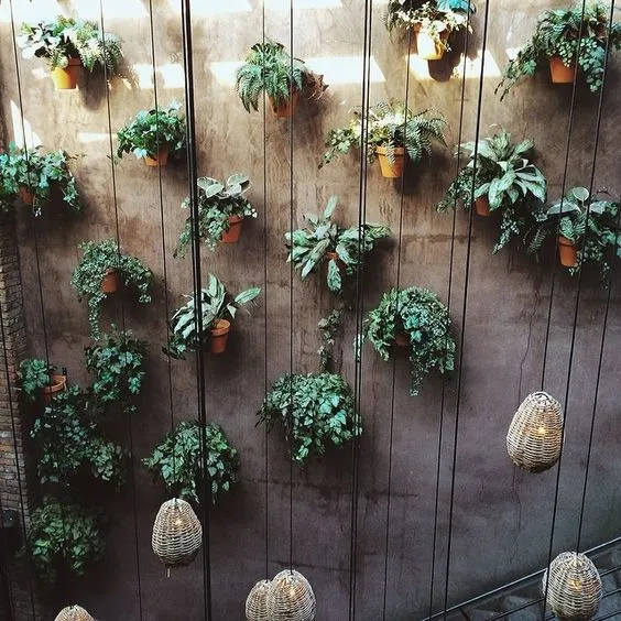 Suspended Plants and Pendants Source Instagram
