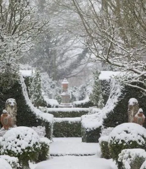 Symmetry in the Snowy Garden. Source: The Potted Boxwood