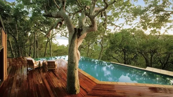 Tree by the Pool Source: HomeEdit