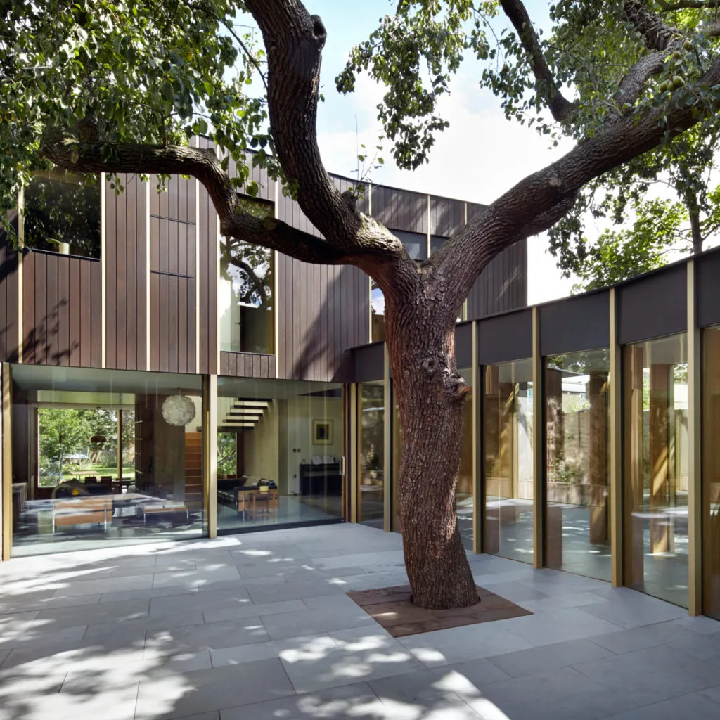 Tree in Patio Source: Dezeen
