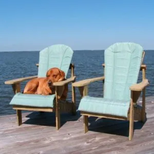 Unpainted Adirondack Chairs and Dog