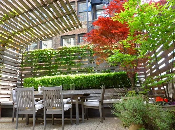 Vines along patio walls. Source: HomeEdit