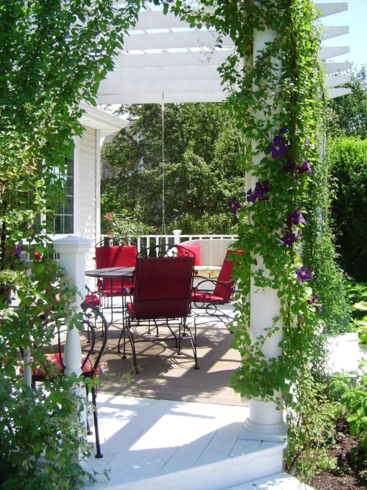 Vines on White Painted Pergola. Source: HGTV