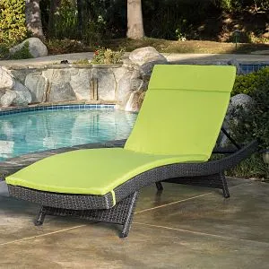 Lakeport Outdoor Adjustable Chaise Lounge Chair with Cushion