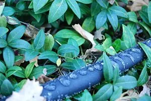 Gilmour Soaker Hose In Use