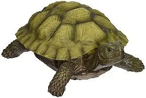Design Toscano Gilbert The Box Turtle Statue