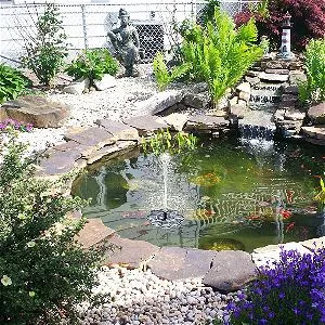 TekHome in the Koi Pond