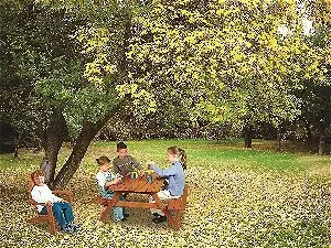 Maxim Kids Adirondack Chair in Context