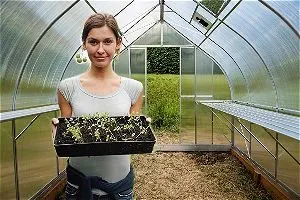 Climapod Greenhouse, the Best Polycarbonate Greenhouses