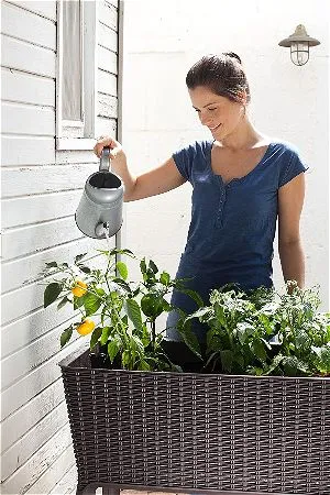 Keter Easy Grow Raised Garden Bed