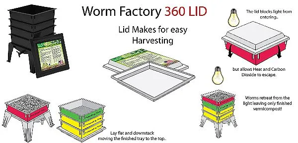 Worm Factory Setup