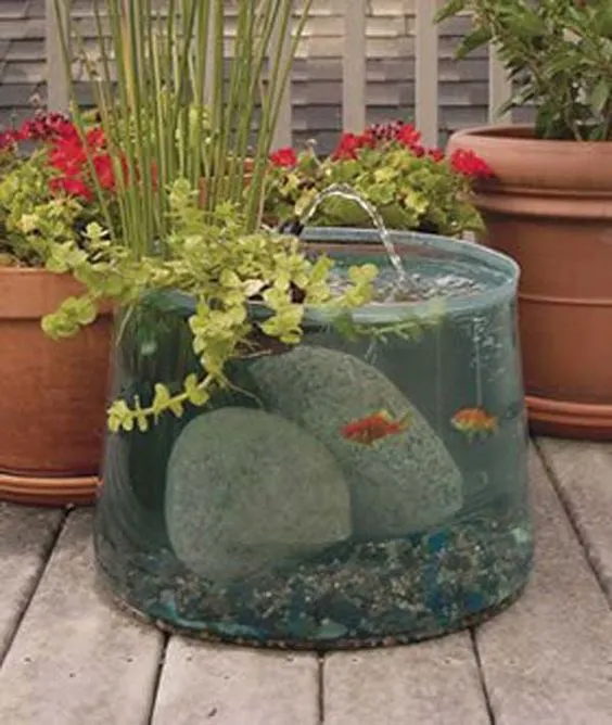 Backyard Aquarium