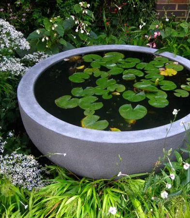 The Big Bad Bowl small backyard pond ideas