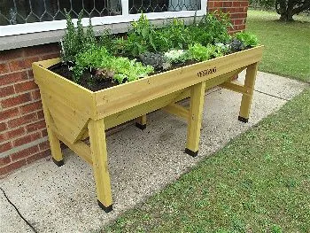 VegTrug Raised Planter Full of Life