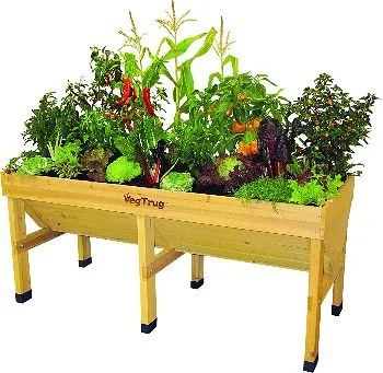 Plants Thriving in the VegTrug