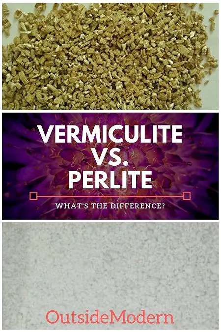 Vermiculite vs Perlite