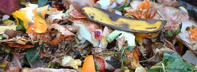 Winter Composting Tips Source: Pixabay