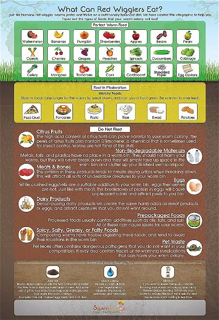 Worm Factory 360 Infographic Magnet
