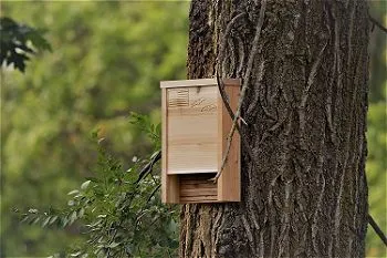 Applewood Outdoor Premium Bat House