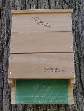 Looker Products Triple Chamber Bat House, the Best Bat House