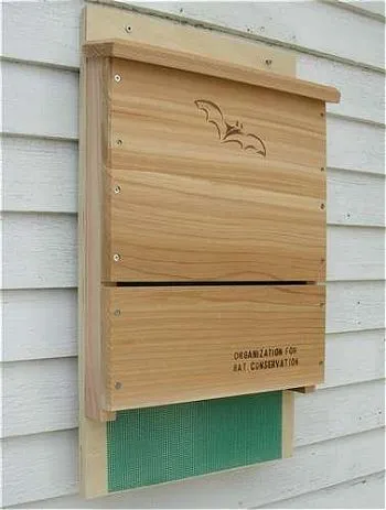 Looker Songbird Essentials Organization for Bat Conservation (OBC) Single Chamber Bat House