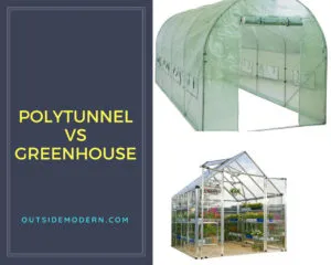 Polytunnel vs Greenhouse