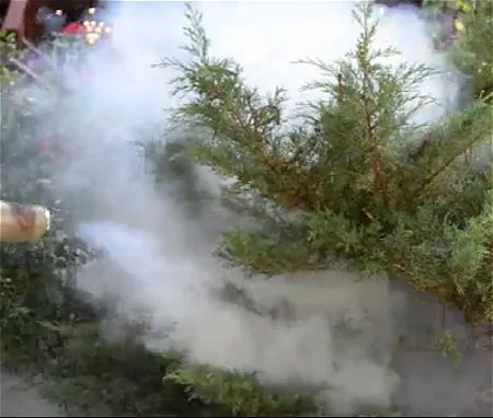 Insect Fogger Spraying