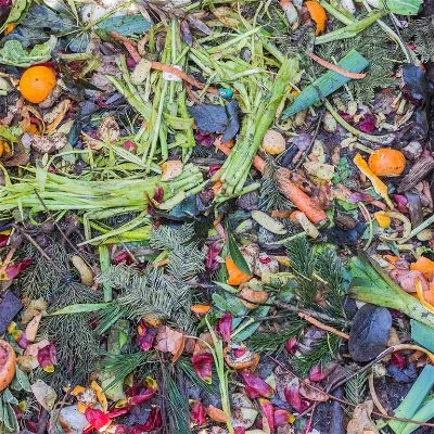 Compost Plants