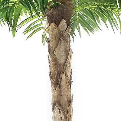 Vogue Plants Quality Artificial Peruvian Palm Tree Trunk Detail