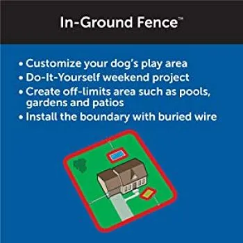 In Ground Fence Systems