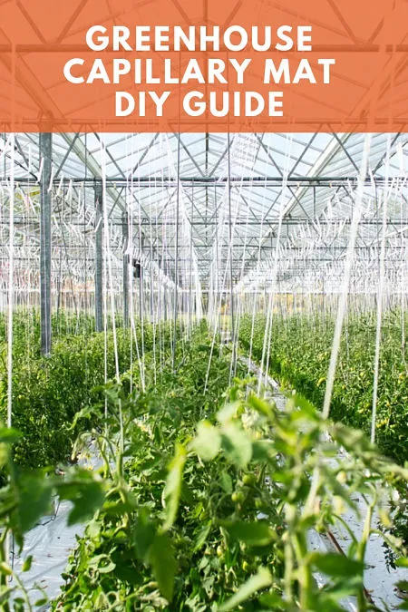 greenhouse capillary mat diy guide