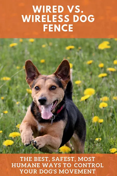 wired vs wireless dog fence