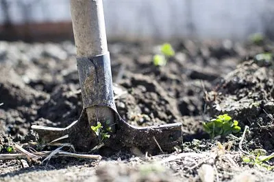 Garden Shovel