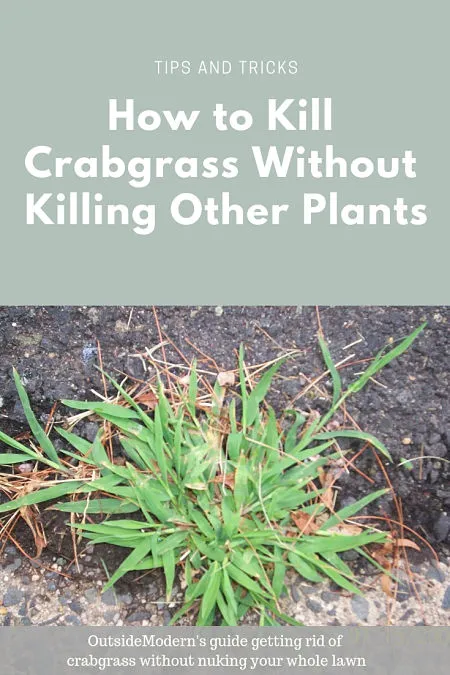 How to Kill Crabgrass Without Killing Other Plants