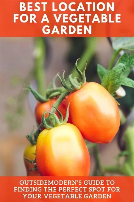 best location for vegetable garden