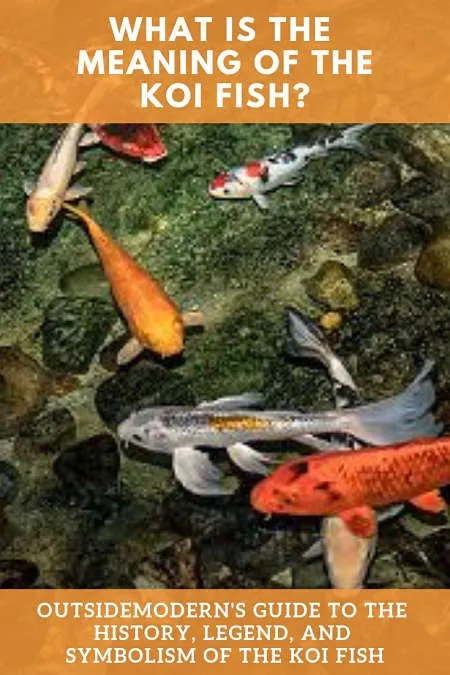 koi fish meaning