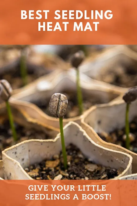 best seedling heat mat