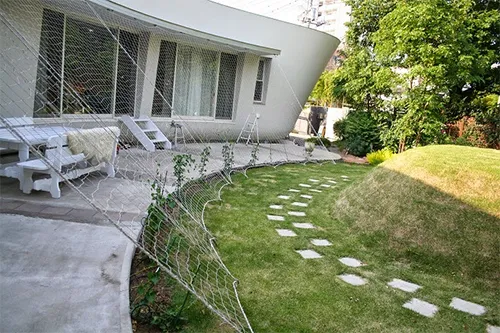 shade trellis ivy