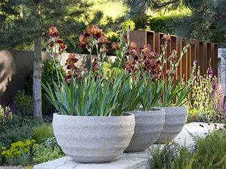 best large planters