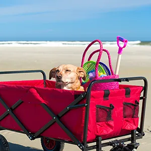 beach carts